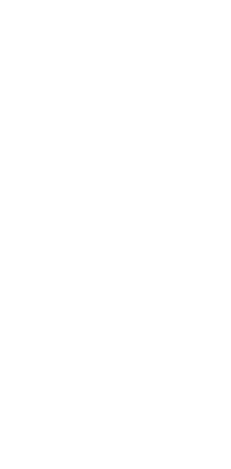 danseur gonflable
