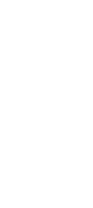 air dancer