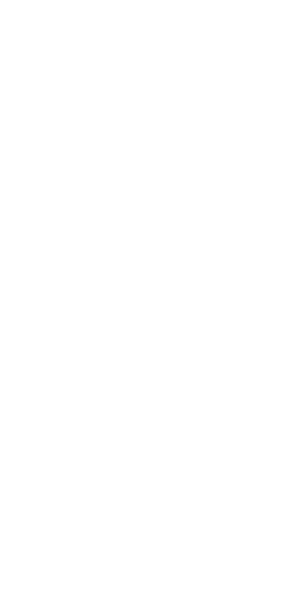 air dancer