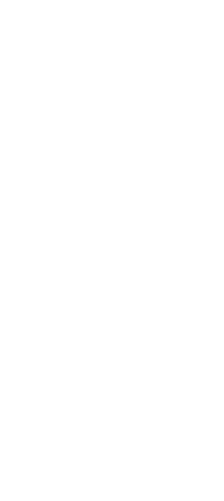 air dancer