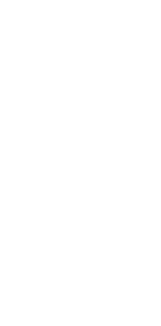 air dancer