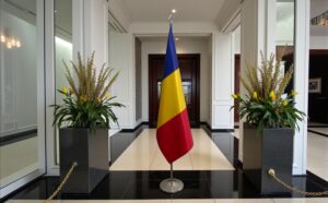 Drapeau Roumanie pour socle en inox élégant