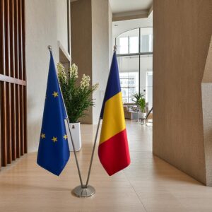 Bannière Roumanie pour socle en inox représentatif
