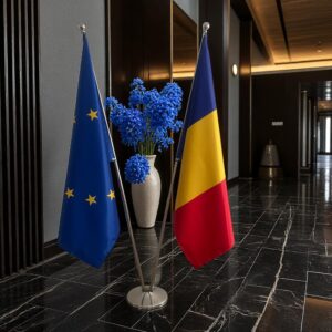 Drapeau Roumanie pour socle en inox diplomatique