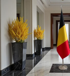 drapeau belgique sur pied