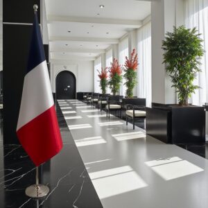 drapeau france avec mât