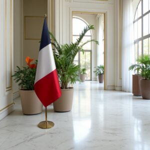 drapeau france sur pied