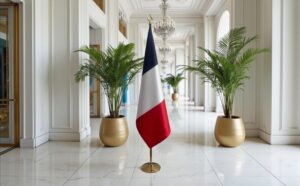 drapeau france sur pied